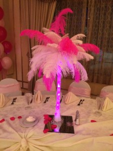 feathers and lights. Wow!